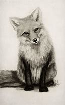 Image result for Fox Drawing Hard