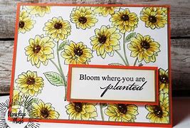 Image result for Bloom Where You Are Planted
