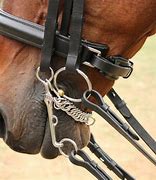 Image result for Horse Bit Fitting