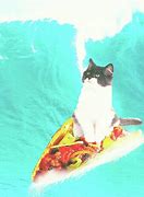 Image result for Taco Cat Galaxy