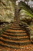 Image result for Shawnee Forest