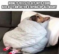 Image result for Cozy in Bed Meme