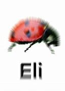 Image result for Naming Bugs Meme