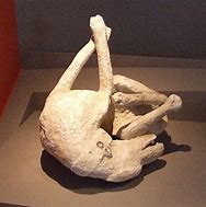 Image result for Pompeii People in Stone