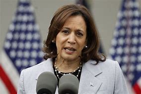 Image result for Kamala Harris Sandals