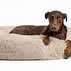 Image result for Large Dog Bed