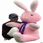 Image result for Fat Bunny Plush