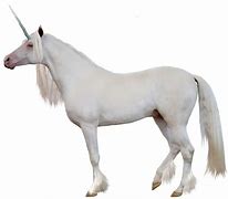 Image result for African Unicorn