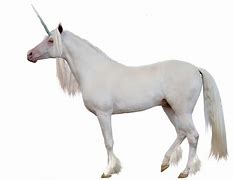 Image result for Fancy Unicorn