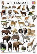 Image result for African Savanna Animals List