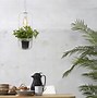 Image result for Hanging Plant Light