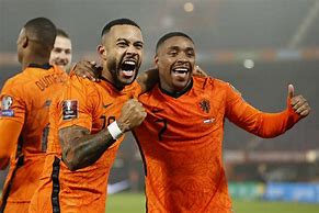 Image result for Netherlands World Cup 2022