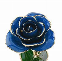 Image result for Forever Rose Blue