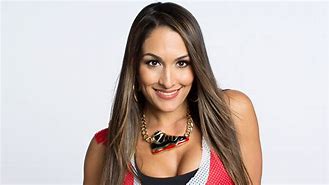 Image result for Nikki Bella Photos