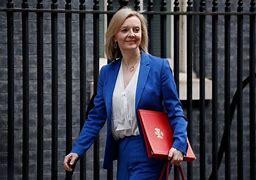 Image result for Liz Truss Green Dress