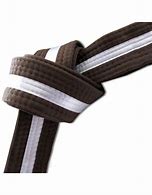 Image result for Karate Brown Belt White Stripe