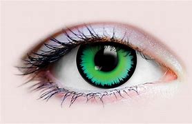 Image result for Primal Contact Lenses Werewolf 1 899
