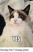 Image result for yes memes cats