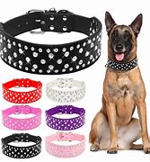 Image result for Leather Bling Dog Collars