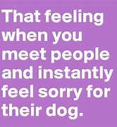 Image result for Sorry Puppy Meme