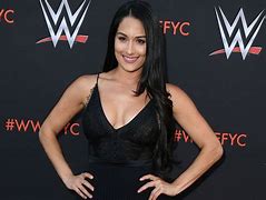 Image result for nikki bella retire