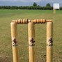 Image result for Fielder On Pitch in Cricket