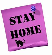 Image result for Stay Home Meme