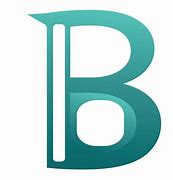 Image result for Nets B Logo