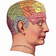 Image result for Memory in Psychology Term