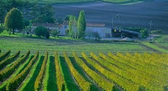 Image result for Vignobles Vergnes Vin Pays Caux
