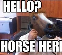 Image result for Horse Mask Memes Funny