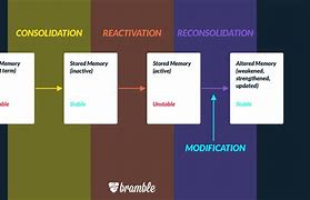 Image result for Memory Reconsolidation