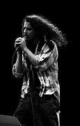 Image result for Chris Cornell Wild