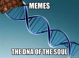 Image result for Meme the DNA of a Soul