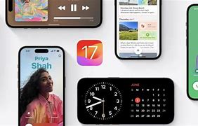 Image result for Macos 17