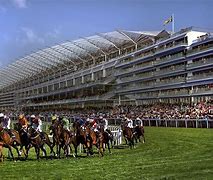 Image result for Ascot Racing 24th June 23