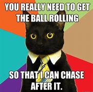 Image result for Business Cat Memes Funny