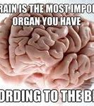 Image result for Growing Brain Meme