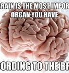 Image result for Ascended Brain Meme