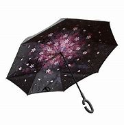 Image result for Coopers' Company Umbrella