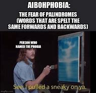 Image result for Aibohphobia Meme