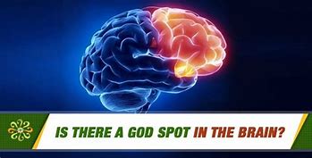 Image result for Brain God Spot