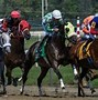 Image result for Funny Race Horse Names