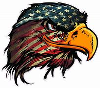 Image result for Patriotic American Eagle Decals