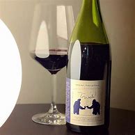 Image result for Catherine Pierre Breton Bourgueil Franc Pied Galichets