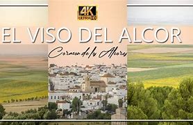 Image result for alcorve