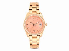 Image result for Fossil B2494252303
