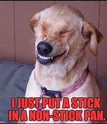 Image result for Funny Dog Laughing Meme