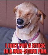 Image result for Animal Laugh Meme