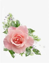 Image result for Single Rose Flower Clip Art